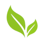 cropped-New-Life-Icon-PNG.png